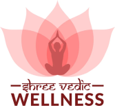 Shreevedic wellness